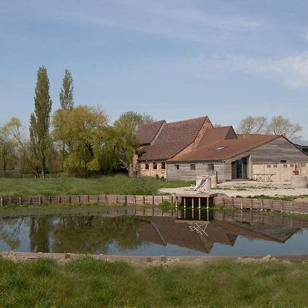 Landelijk Vakantiehuis In Diksmuide Met Een Tuin En Vijver Exterior photo
